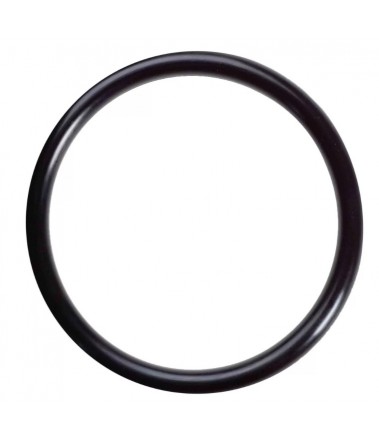Кольцо O-Ring FKM 75 3,8х1,9