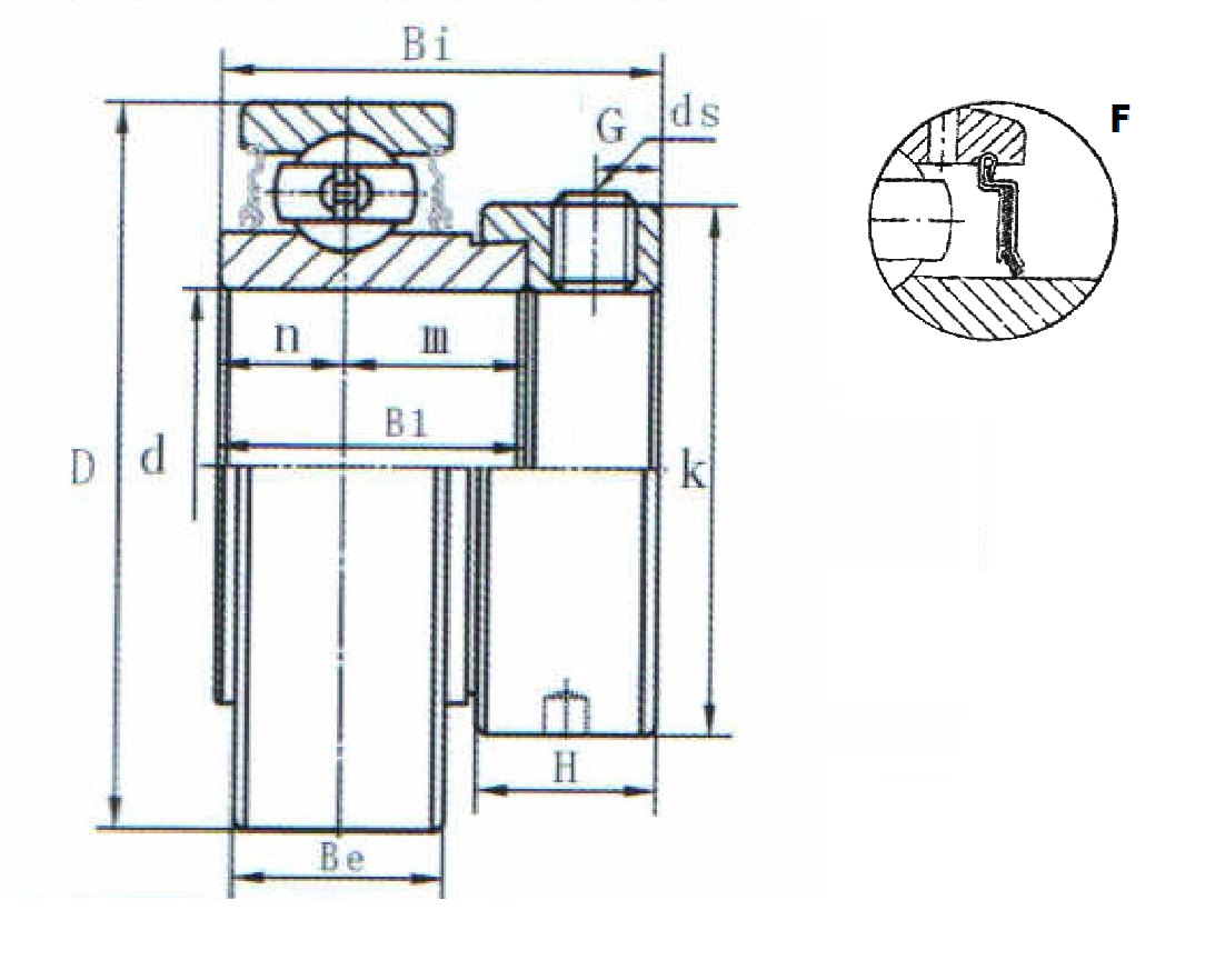 картинка Подшипниковый узел RA206-19F 