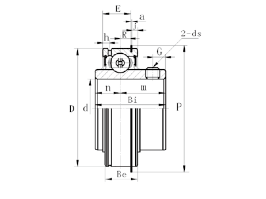 картинка Подшипник SER205F 